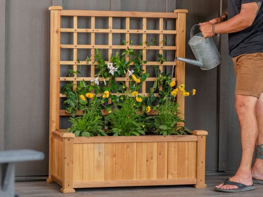 Vita Rectangle 18.5" Large Brown Cedar Outdoor Raised Planter Box