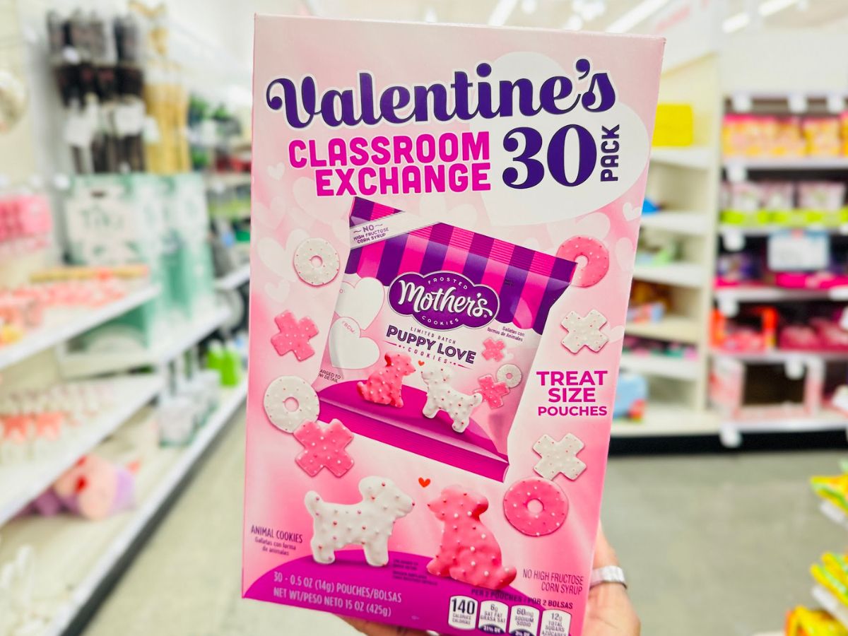 18 Fun & Affordable Classroom Valentine Treat Ideas from Target (In-Store & Online)