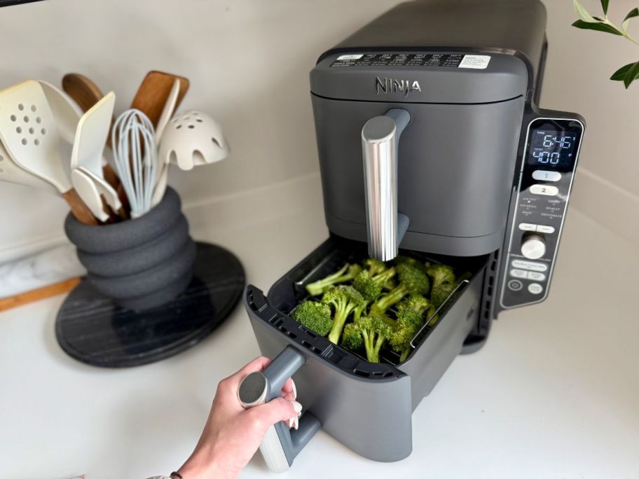 hand pulling out lower basket of Ninja DoubleStack XL 10-Quart 6-in-1 Air Fryer w/ 5-Piece Skewers & Tongs on counter