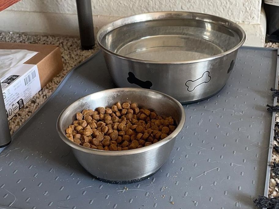 Two metal bowls on a silicone pet feeding mat