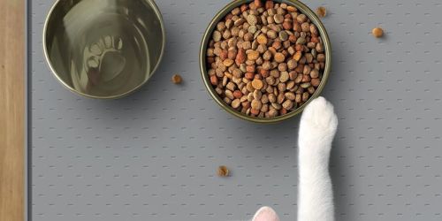 Silicone Pet Feeding Mat JUST $5 on Amazon (Reg. $10)