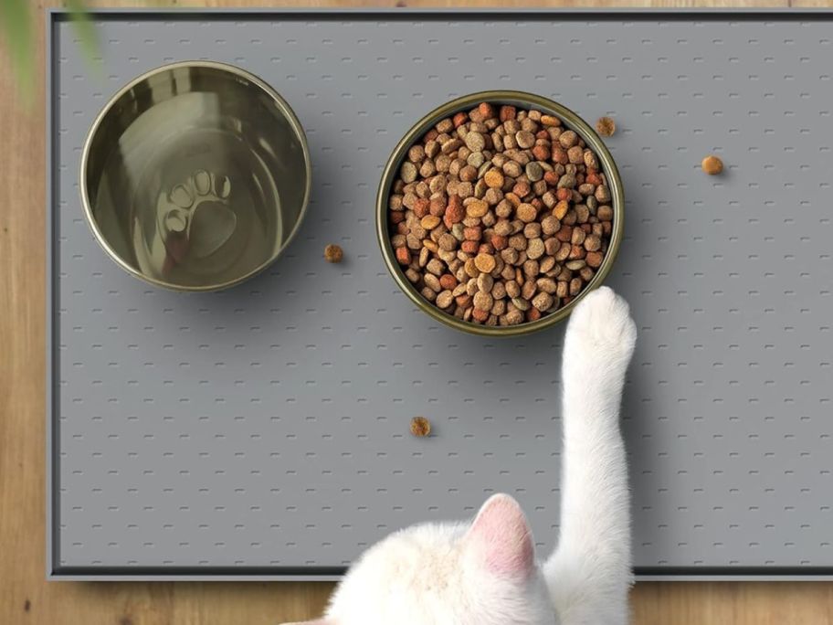 cat swatting food bowl and knocking food onto a silicone pet mat