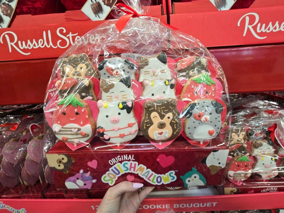 Squishmallows Valentine's Day Cookie Bouquet 12-Count in hand in store