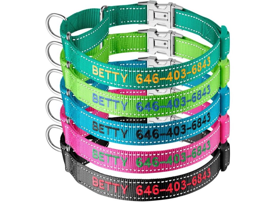 Suncliff Personalized Martingale Dog Collar-Reflective w Metal Buckle