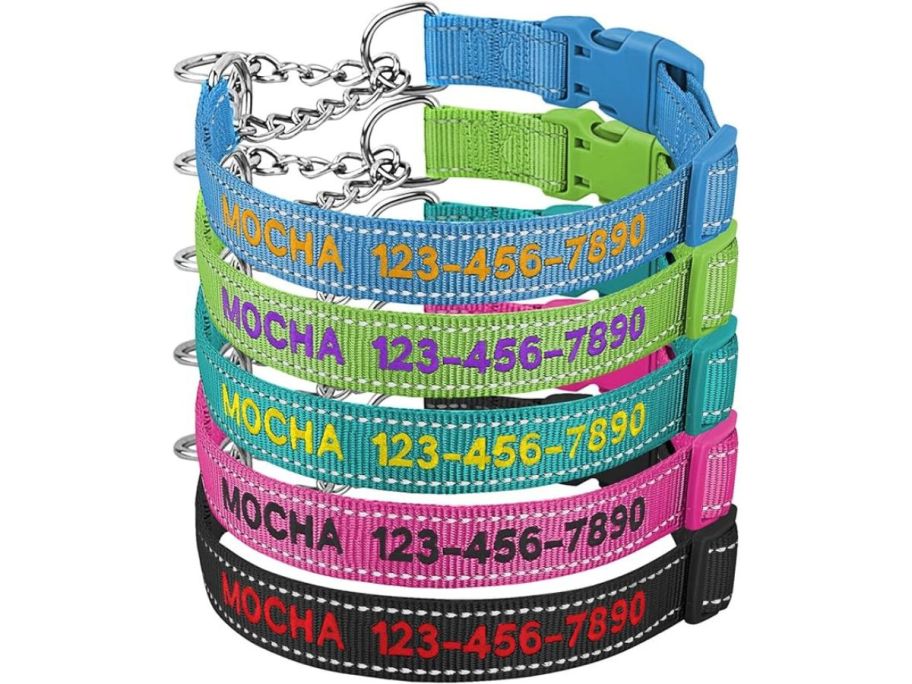 Suncliff Personalized Martingale Dog Collar-Reflective with Chain