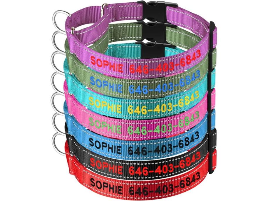 Suncliff Personalized Martingale Dog Collar w Lock Buckle