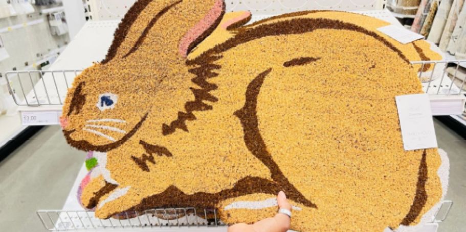 New Easter & Spring Doormats Only $13 on Target.online