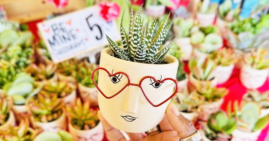 hand holding up a succulent planted in a white planter with a face wearing heart-shaped glasses