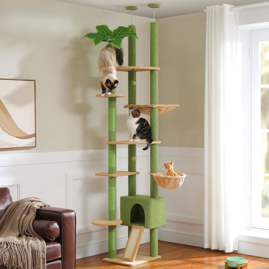 multi-level cat tree with 3 cats on it. 