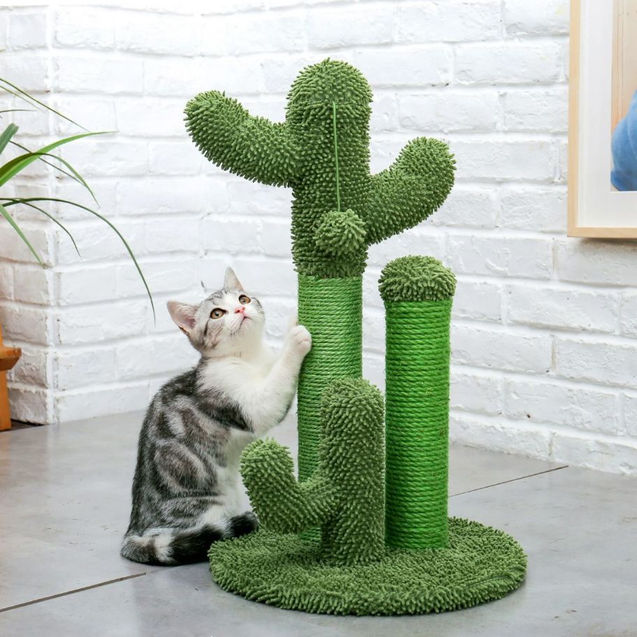 cactus themed cat tree with a cat on it