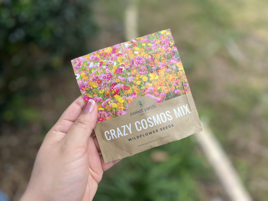 hand holding crazy cosmos mix of seeds