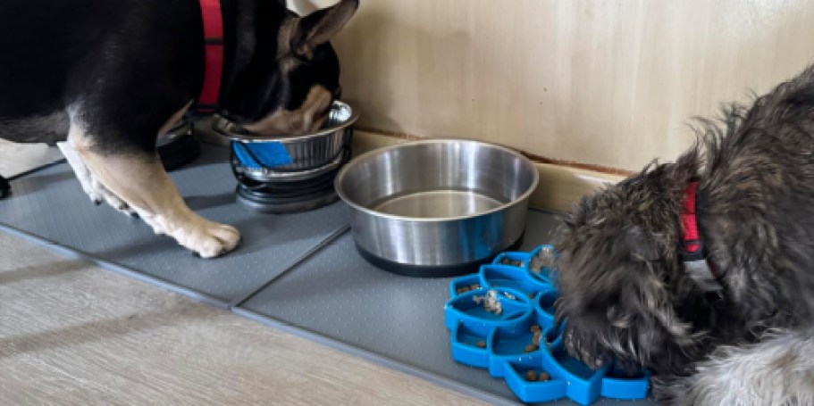 Gorilla Grip Silicone Pet Feeding Mat Just $7.99 on Amazon | Durable & Dishwasher-Safe