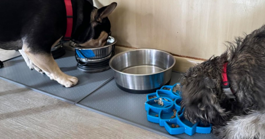 two dogs eating food on gorilla grip pet feeding mats