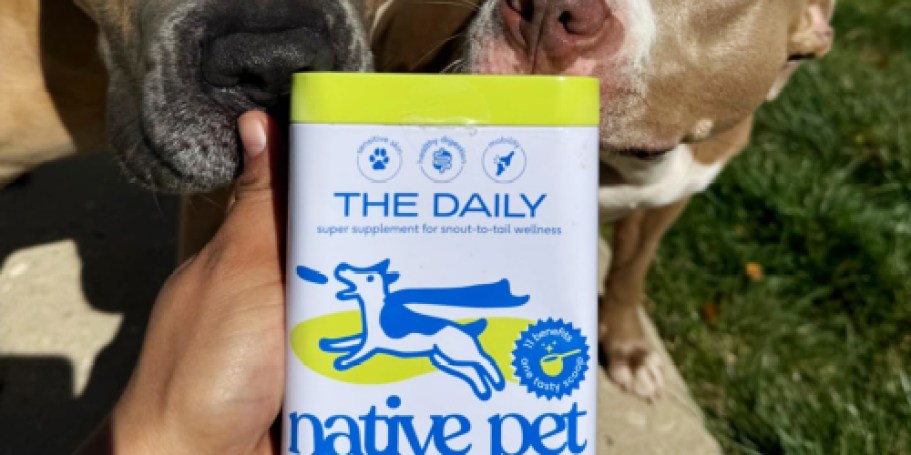 Over 50% Off Native Pet Daily Digestive Support on Amazon