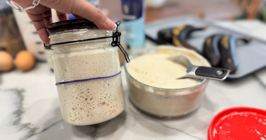 sourdough starter and sourdough discard