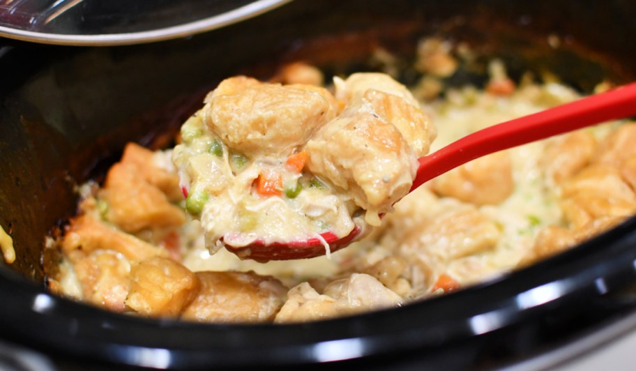 spoonful of chicken and dumplings soup