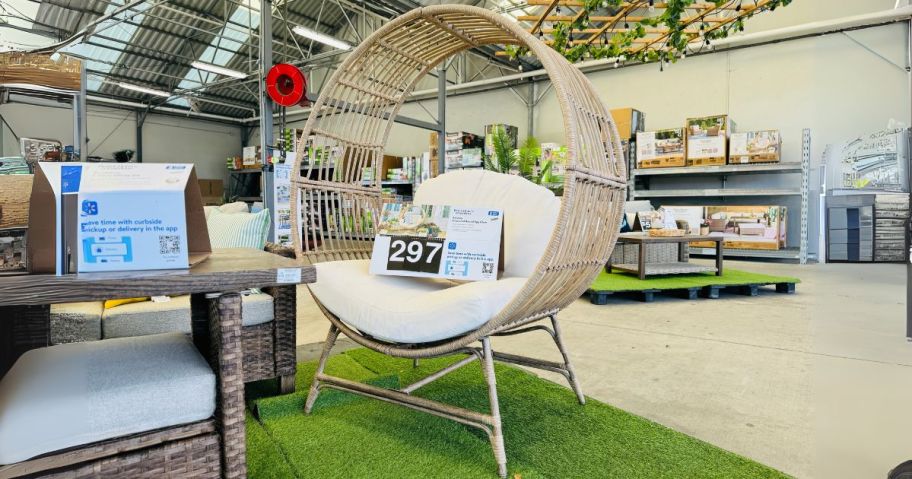 egg chair on display in store