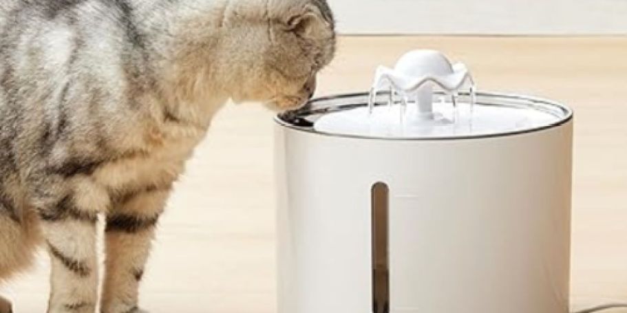 Cat Water Fountain Only $9.99 Shipped for Prime Members (Reg. $26) – Dogs Like it Too!