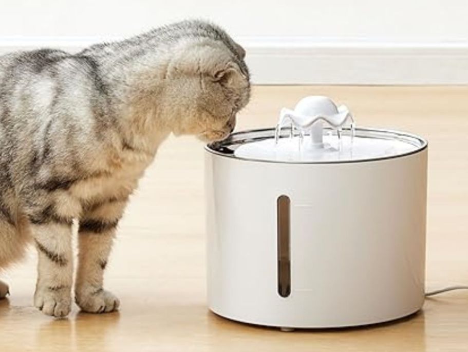 Cat Water Fountain Only $9.99 Shipped for Prime Members (Reg. $26) – Dogs Like it Too!