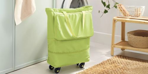 Collapsible Rolling Totes Just $16 on Target.online