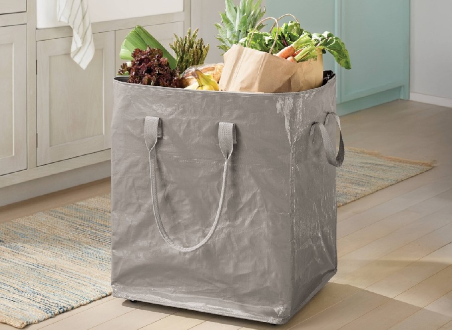 Collapsible Rolling Tote Just $8 on Target.online (Over $100 Less than Trendy Hulken Bags!)