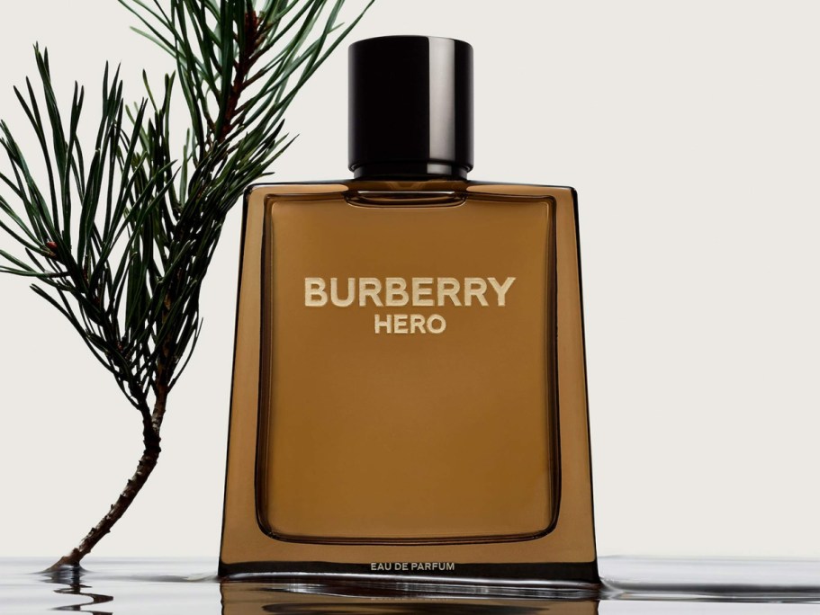 Up to 70% Off Designer Fragrances + Free Shipping | Burberry, Dolce & Gabbana, & More!