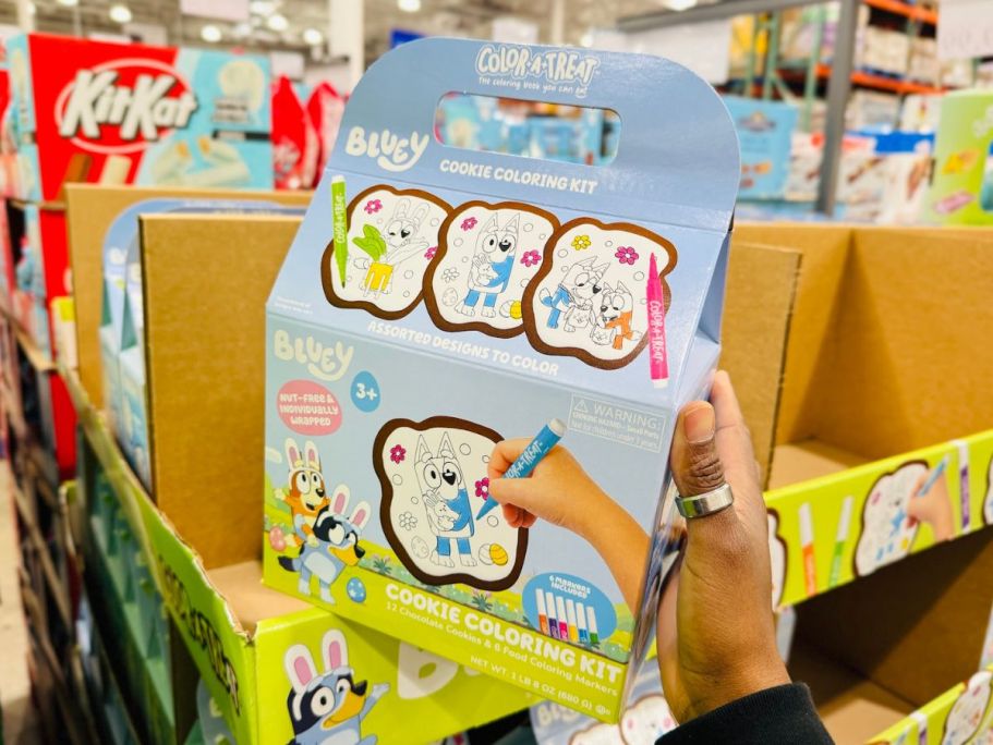 19 of the Hottest New Costco Finds | Cookie Coloring Kits, Slip ‘n Slides, & More!