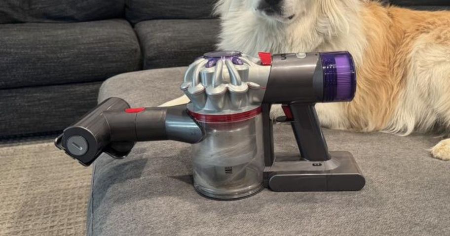 Dyson Handheld Vacuum with a dog