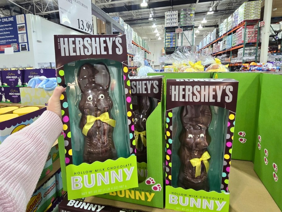 hershey's hollow milk chocolate bunny in store