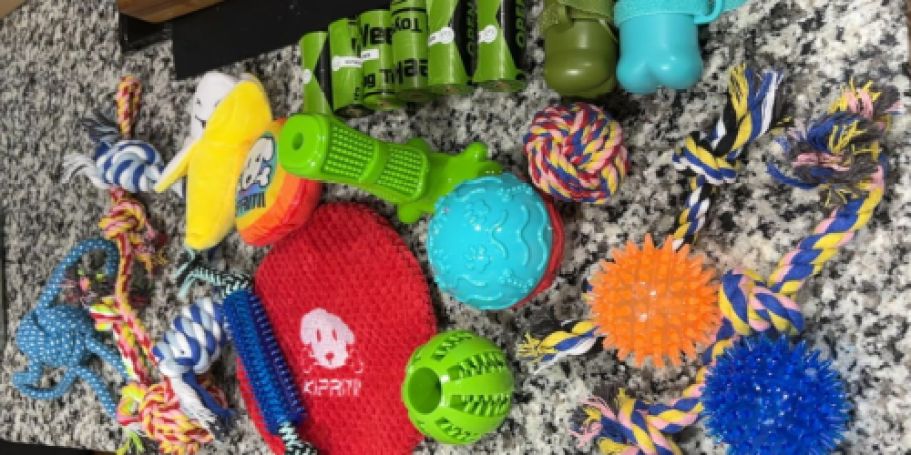 Highly Rated Dog Training Toys 25-Pack JUST $16.99 on Amazon (Regularly $20)