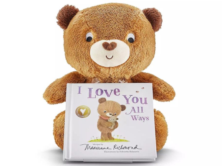 A plush bear and a book about them