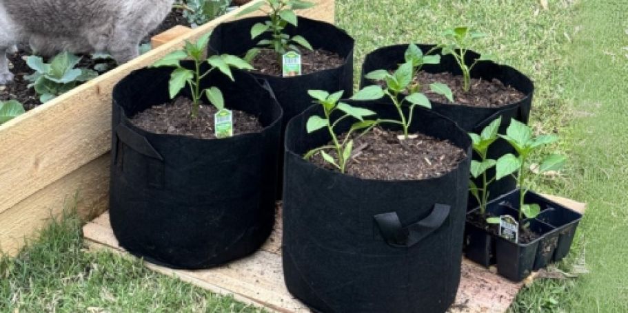 Plant Grow Bags 4-Pack Only $4.89 on Amazon | Perfect for Decks & Patios