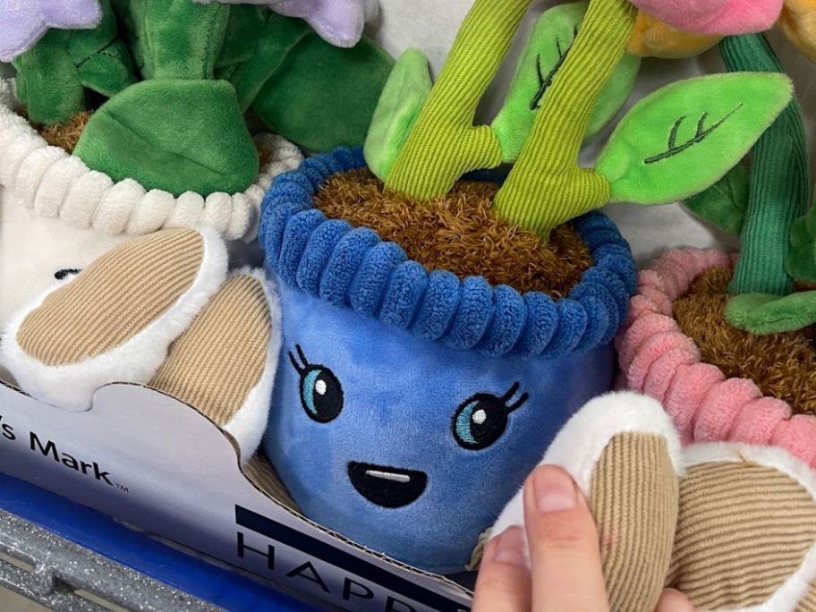 A Happy Plush Plant in a box