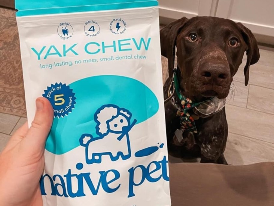 dog sitting near bag of native pet yak dog chews