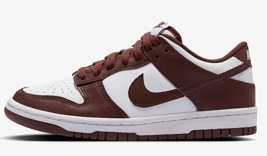 Nike Big Kids Dunk Low Shoes