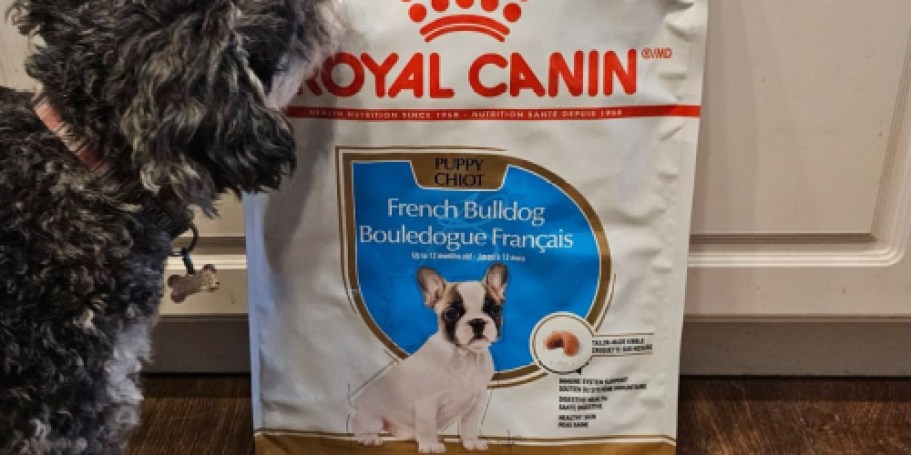 50% Off Royal Canin Dog Food + Free Shipping on Amazon