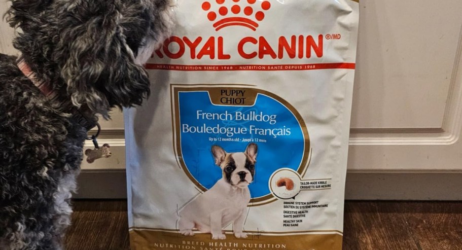 50% Off Royal Canin Dog Food + Free Shipping on Amazon