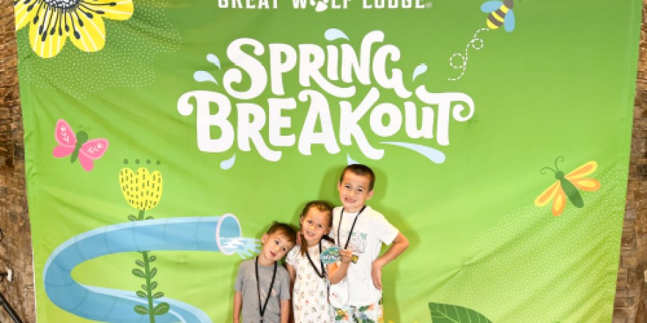 Great Wolf Lodge Just $93 Per Night w/ SIX Waterpark Passes (Book Your Next Family Trip!)