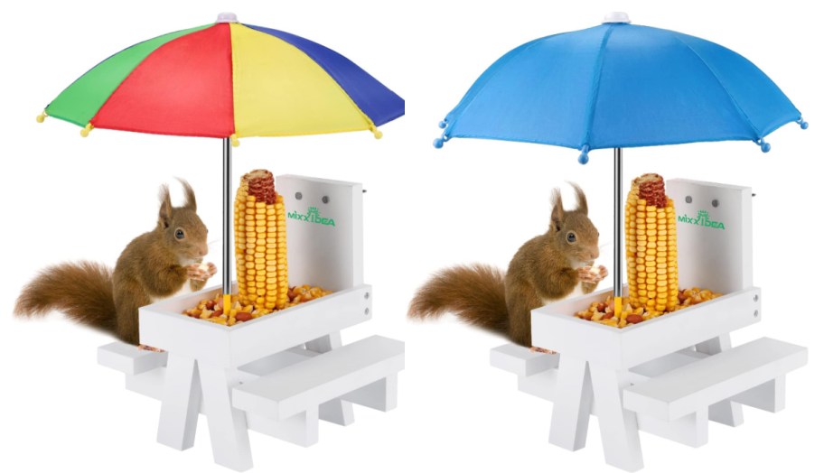 Squirrel eating from feeder with umbrella-2