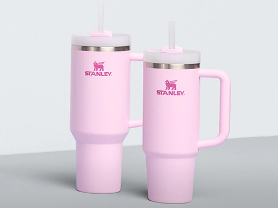 Stanley Tumblers in Cherry Blossom