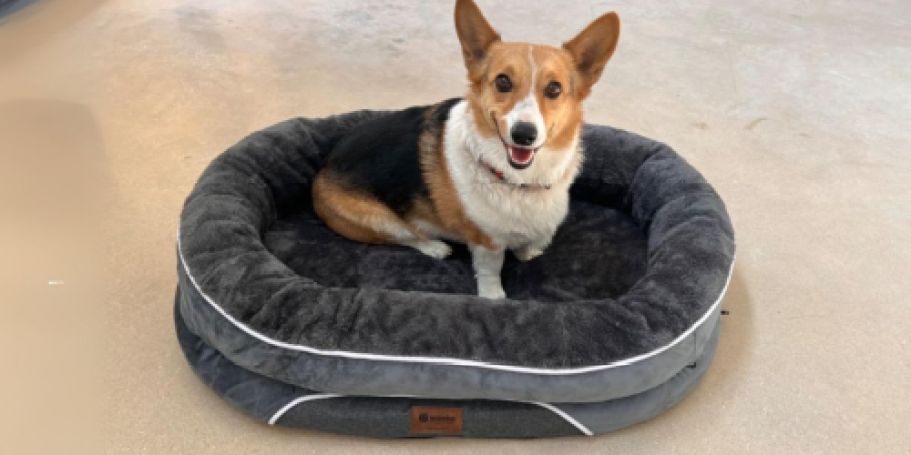 Team-Fave Dog Bed Only $9.99 on Amazon (Reg. $46)