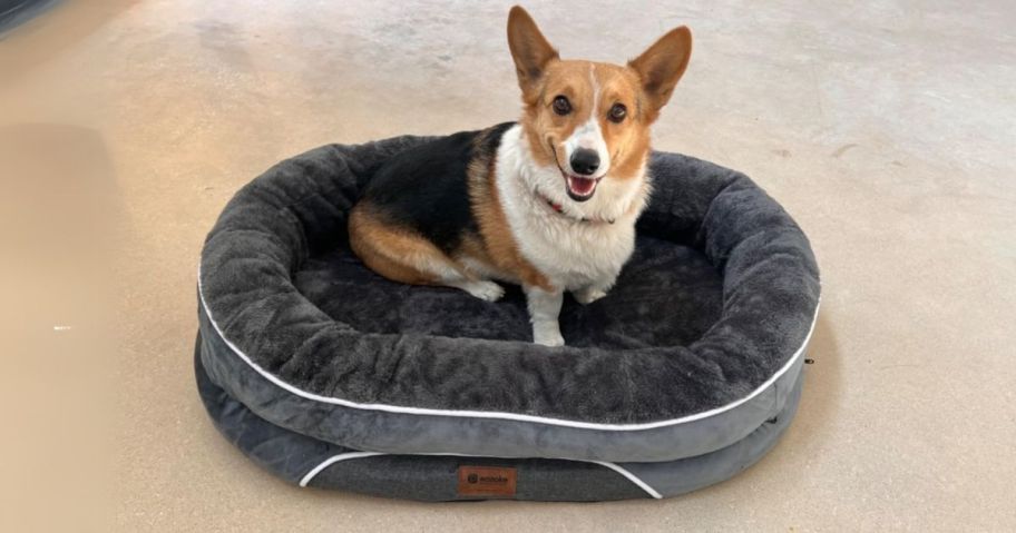 dog sitting in Wozoke Large Dog Bed in Dark Grey on floor