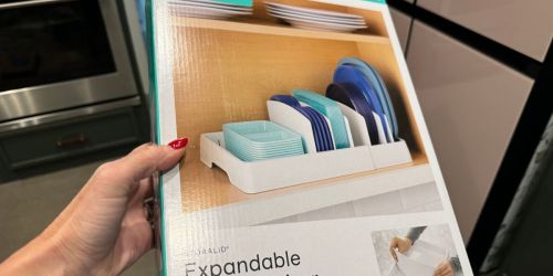 YouCopia Expandable Lid Organizer $14.98 on SamsClub.online (WAY Less Than Amazon!)