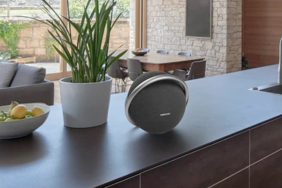 bluetooth speaker on kitchen counter