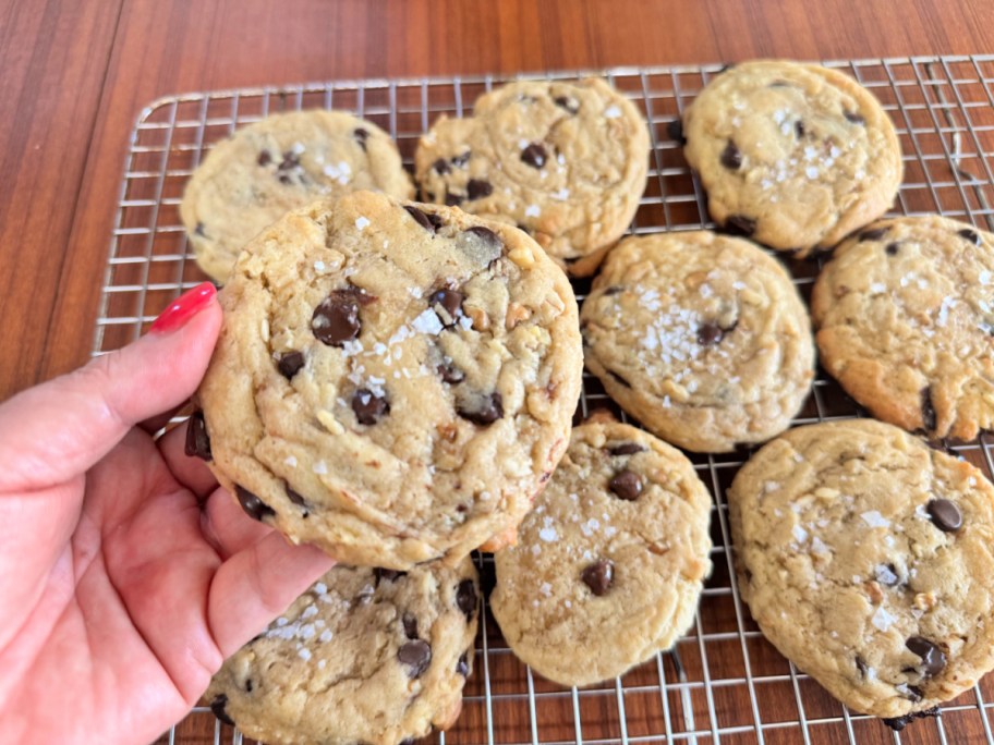 holding sourdough chocolate chip cookies