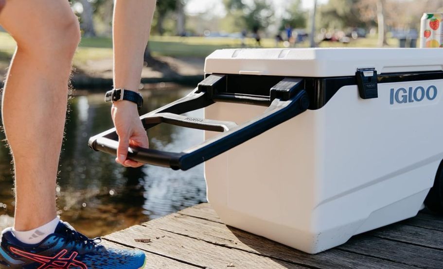 Alert: Igloo Expands Recall to Nearly 1.2 Million Rolling Coolers — See If Yours Is Affected