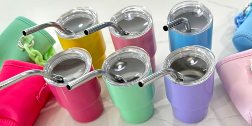 These Mini Tumblers are the Perfect Easter Basket Stuffer (Only $2.34 Each)