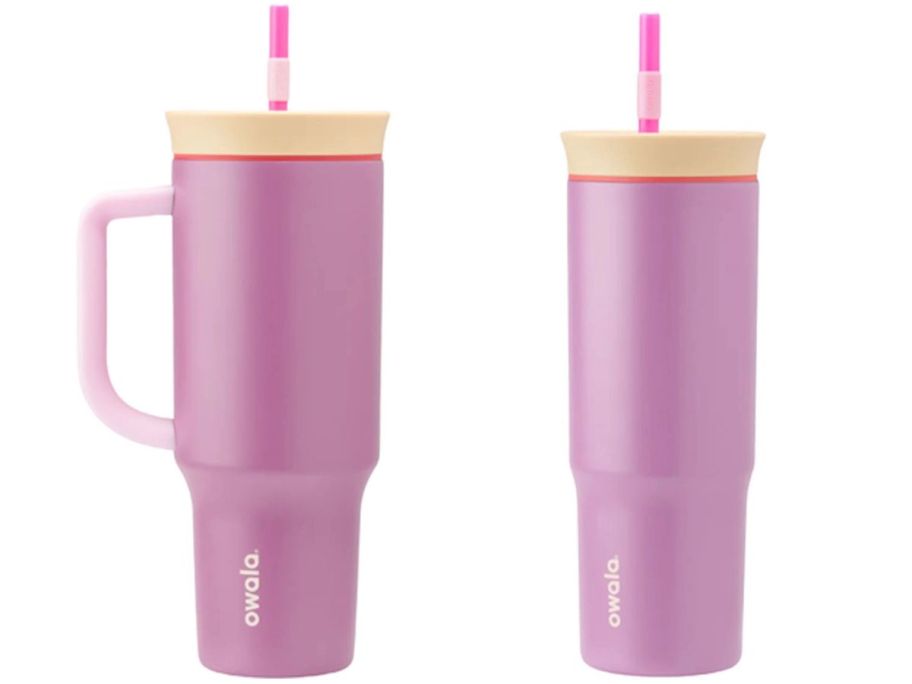 a 40oz and a 24oz smell the roses colored 40oz tumbler stock image
