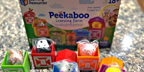 Miss Rachel Fans – Learning Resources Peekaboo Farm JUST $10.96 on Amazon + More!