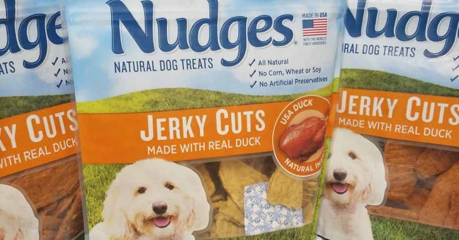 FREE Blue Buffalo Dog Treats After Rebate (Reg. $28)